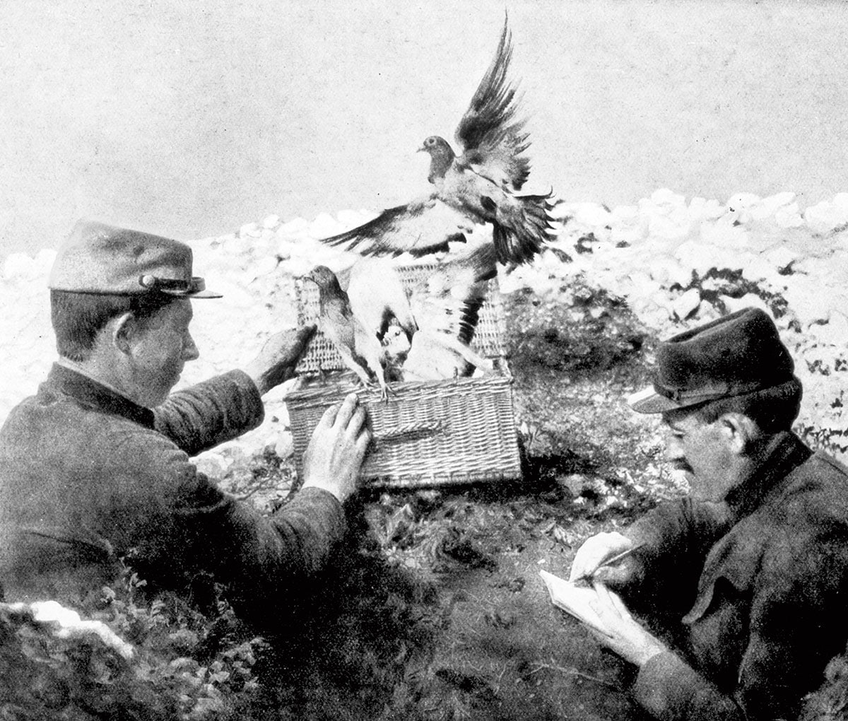 black and white photo of two soldiers releasing pigeons from a basket