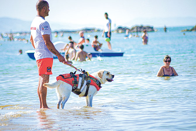 enlargeable picture of a man and a dog on the beach