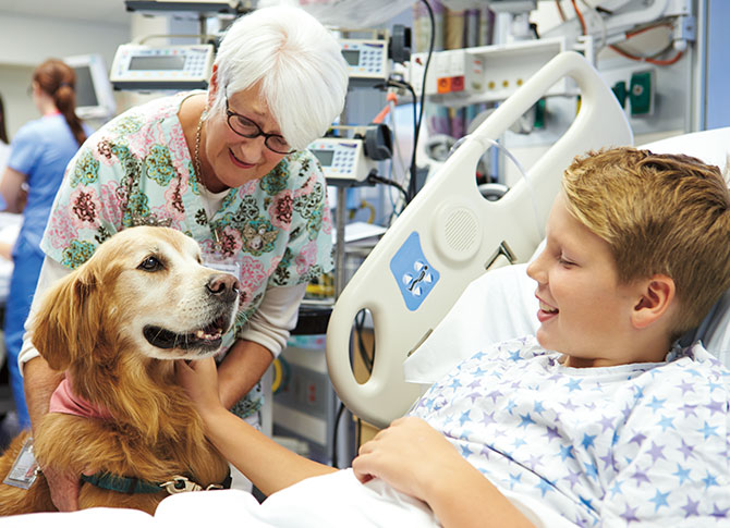 a dog visiting someone in the hospital