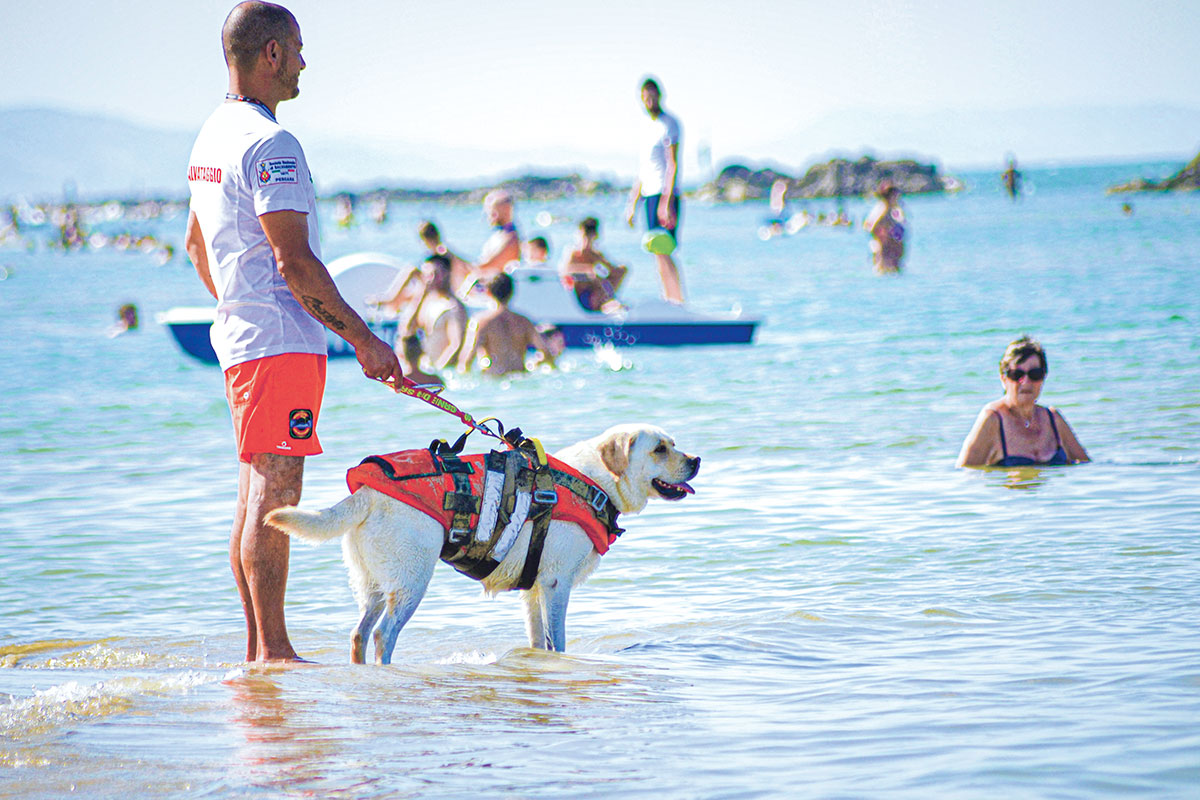 a man and a dog on the beach