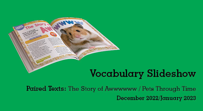 Slideshow