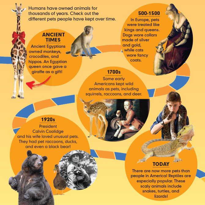 Enlargeable infographic of pets throughout history