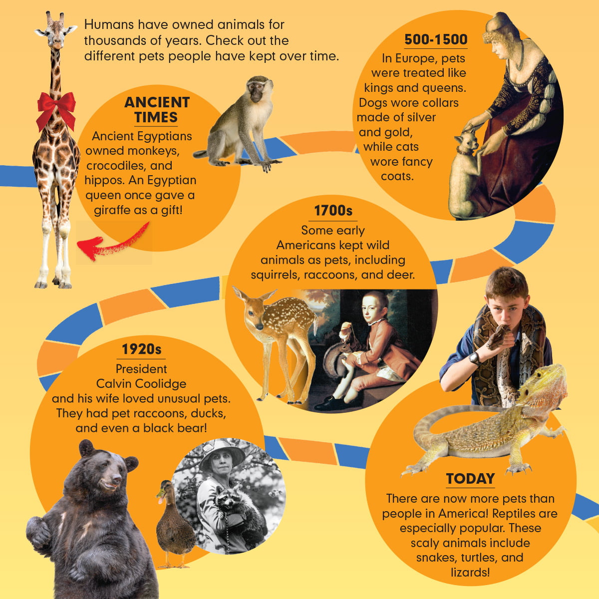 Infographic of pets throughout history
