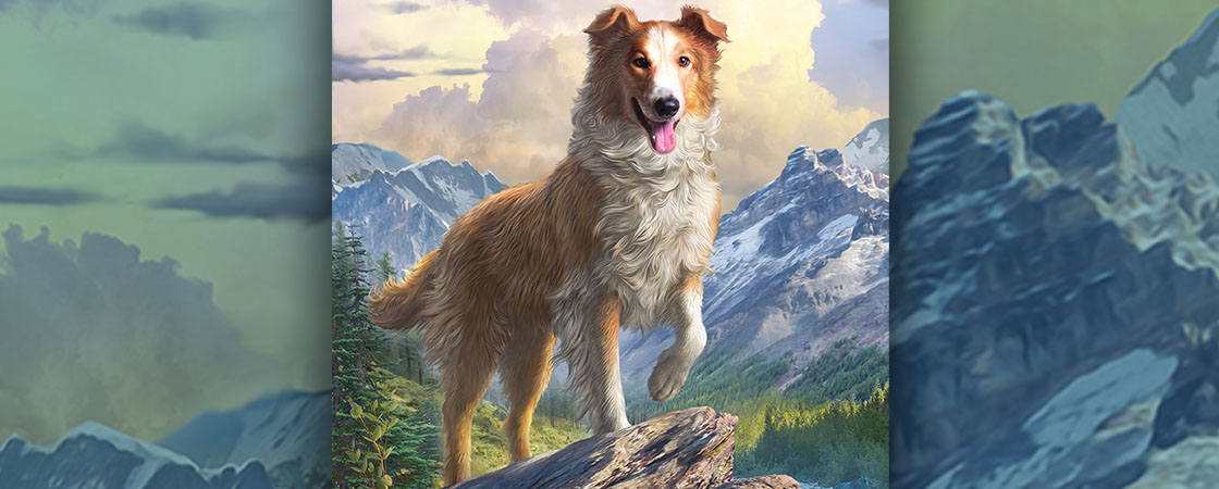 Image of dog in nature